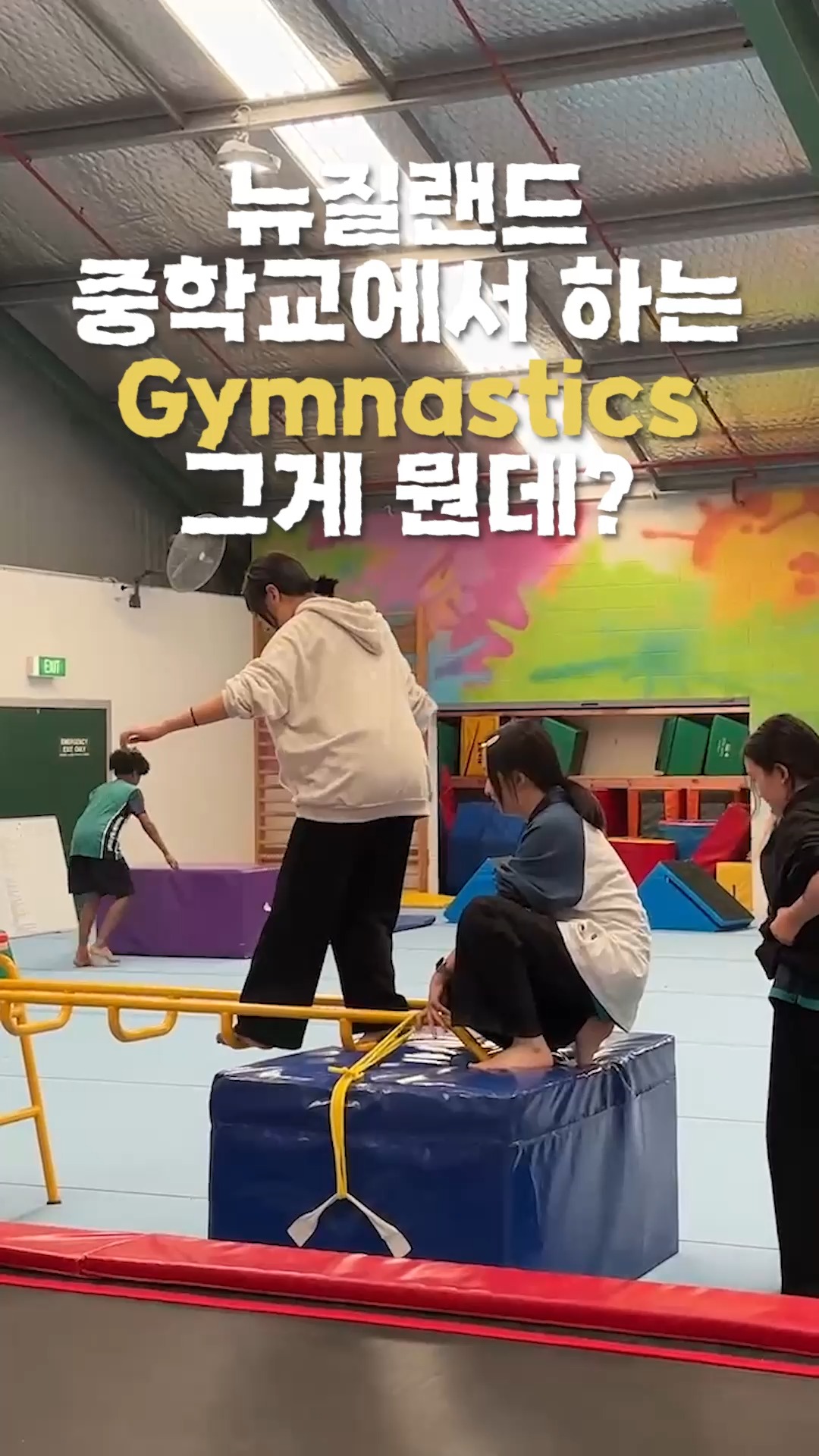 뉴질랜드 중학교에서 하는 Gymnastics 그게 뭔데?